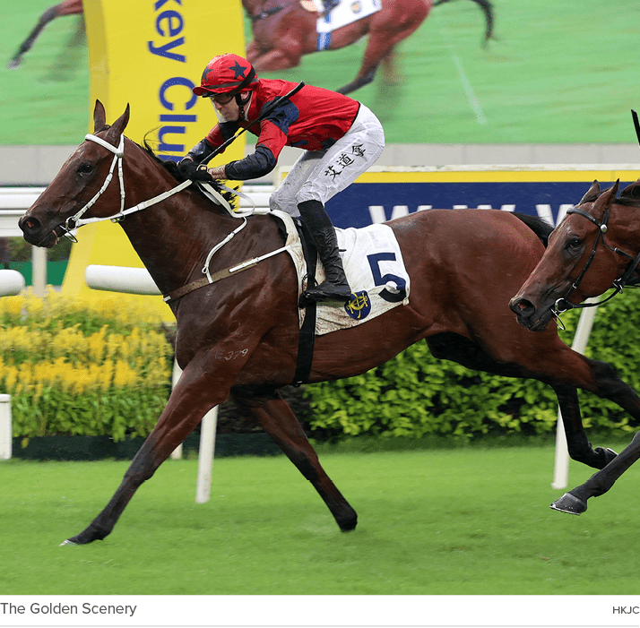 The Golden Scenery hkj