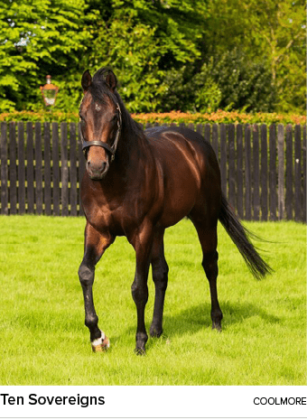 Ten Sovereigns coolmor