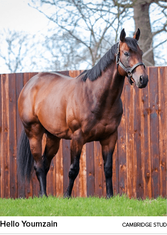 Hello Youmzain cambridge stu