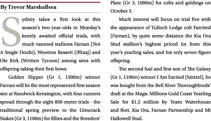 ￼ Sydney takes a first look at this season’s two year olds in Monday’s keenly awaited official trials, with much vaun...