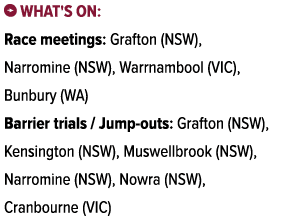 ￼ What's on: Race meetings: Grafton (NSW), Narromine (NSW), Warrnambool (VIC), Bunbury (WA) Barrier trials / Jump out...