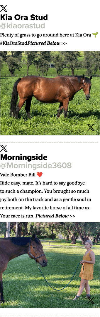 ￼ Kia Ora Stud @kiaorastud Plenty of grass to go around here at Kia Ora 🌱 #KiaOraStudPictured Below   ￼ ￼ Morningsi...