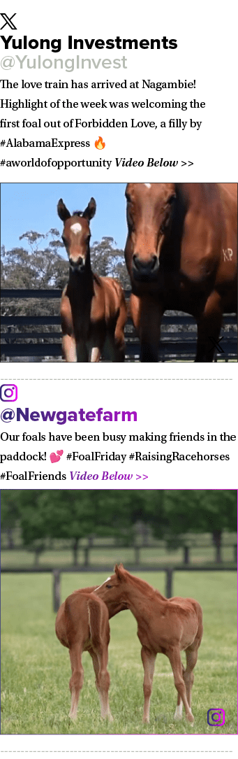 ￼ Yulong Investments @YulongInvest The love train has arrived at Nagambie! Highlight of the week was welcoming the fi...