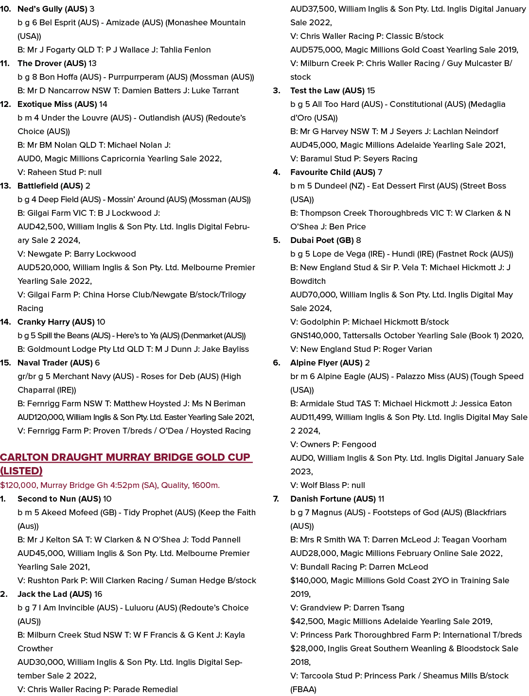 10. Ned’s Gully (AUS) 3 b g 6 Bel Esprit (AUS) Amizade (AUS) (Monashee Mountain (USA)) B: Mr J Fogarty QLD T: P J Wal...