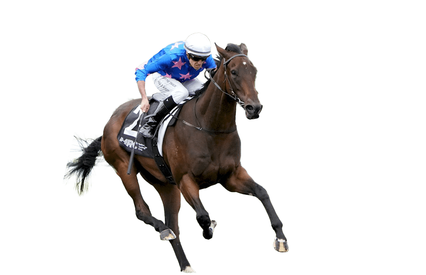 Feroce (NZ) ridden by Billy Egan wins the Vale John Russell at Caulfield Racecourse on April 06, 2024 in Caulfield, Australia. (Photo by George Sal/Racing Photos)