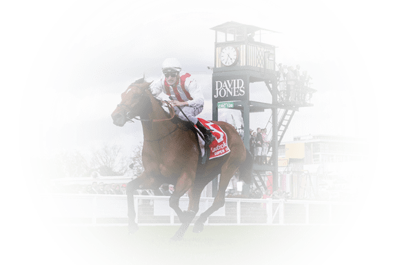 Super Seth ridden by Mark Zahra wins the Ladbrokes Caulfield Guineas at Caulfield Racecourse on October 12, 2019 in Caulfield, Australia. (George Salpigtidis/Racing Photos)