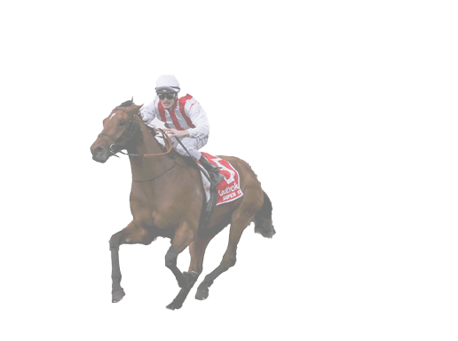 Super Seth ridden by Mark Zahra wins the Ladbrokes Caulfield Guineas at Caulfield Racecourse on October 12, 2019 in Caulfield, Australia. (George Salpigtidis/Racing Photos)