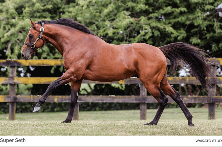 Super Seth waikato stu