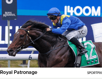 Royal Patronage sportpi