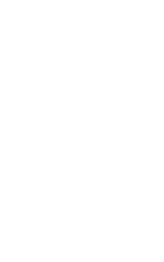 Feroce out to follow in his father’s footsteps Three year old son of Super Seth bidding to emulate sire in Caulfield ...
