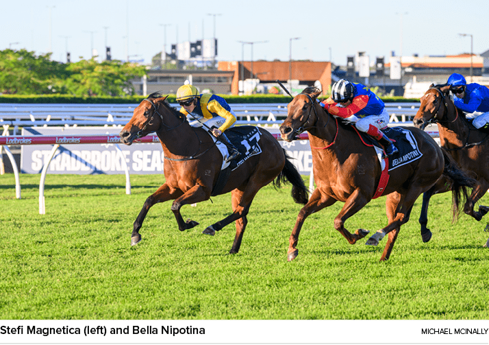 Stefi Magnetica (left) and Bella Nipotina Michael McInall