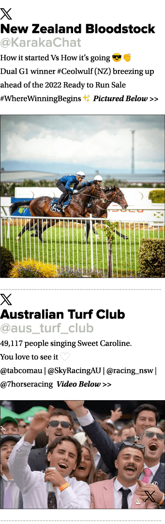 ￼ New Zealand Bloodstock @KarakaChat How it started Vs How it’s going 😎👏 Dual G1 winner #Ceolwulf (NZ) breezing up ...