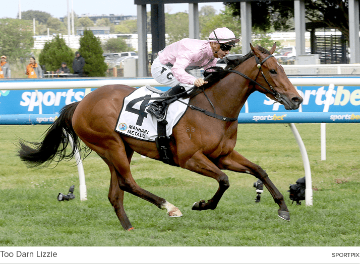 Too Darn Lizzie sportpi