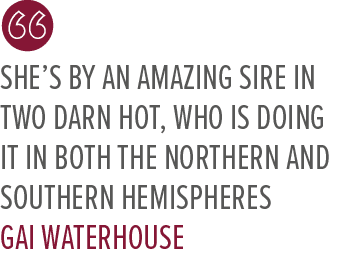 She’s by an amazing sire in Two Darn Hot, who is doing it in both the northern and southern hemispheres Gai Waterhous