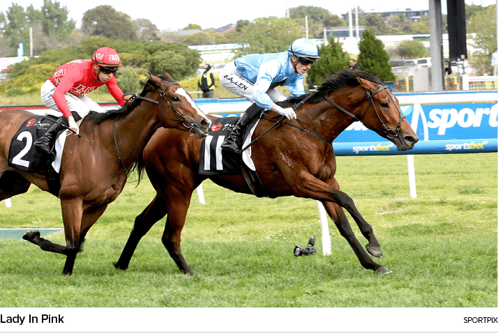 Lady In Pink sportpi