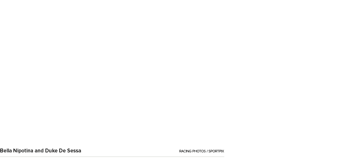 Bella Nipotina and Duke De Sessa racing photos / sportpi