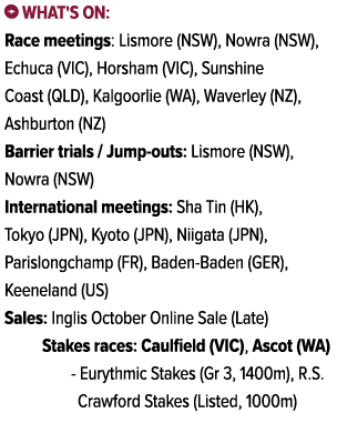 ￼ What's on: Race meetings: Lismore (NSW), Nowra (NSW), Echuca (VIC), Horsham (VIC), Sunshine Coast (QLD), Kalgoorlie...