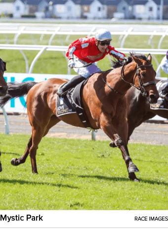 Mystic Park Race Image