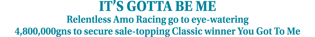 IT’S GOTTA BE ME Relentless Amo Racing go to eye watering 4,800,000gns to secure sale topping Classic winner You Got ...