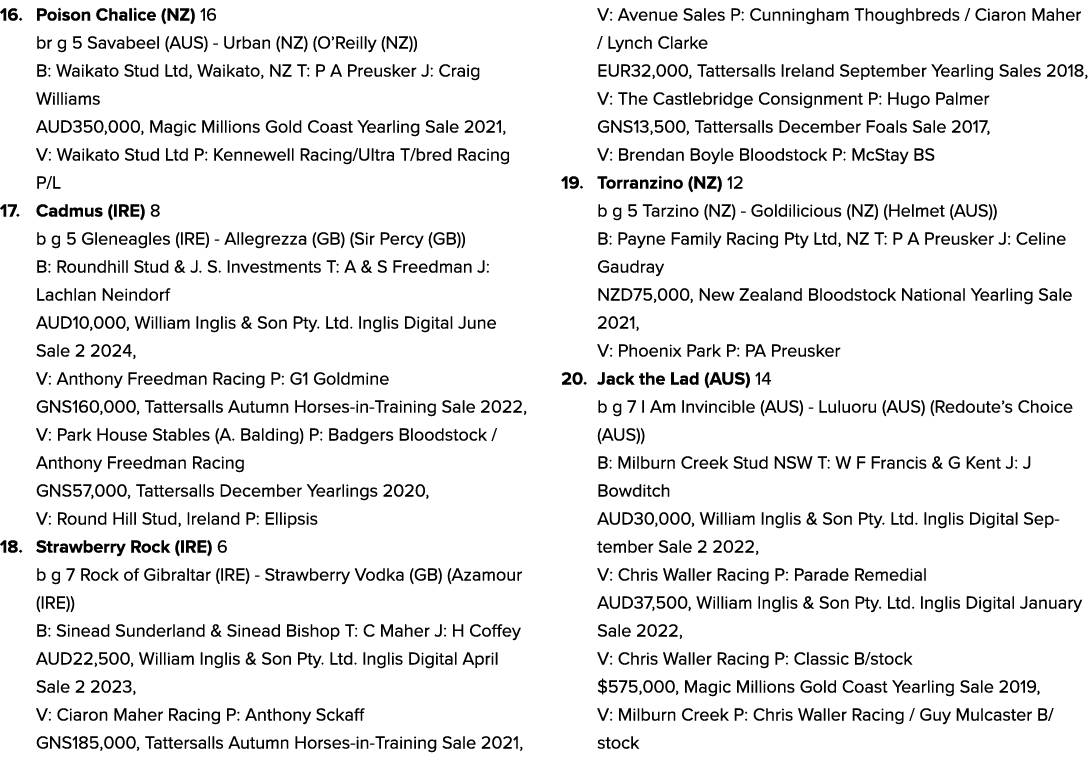 16. Poison Chalice (NZ) 16 br g 5 Savabeel (AUS) Urban (NZ) (O’Reilly (NZ)) B: Waikato Stud Ltd, Waikato, NZ T: P A P...