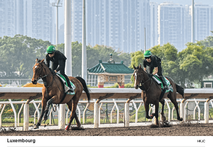 Luxembourg HKJ