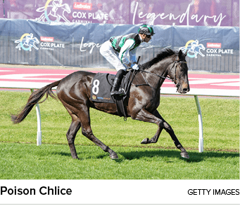 Poison Chlice getty image