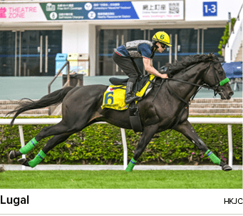 Lugal HKJ
