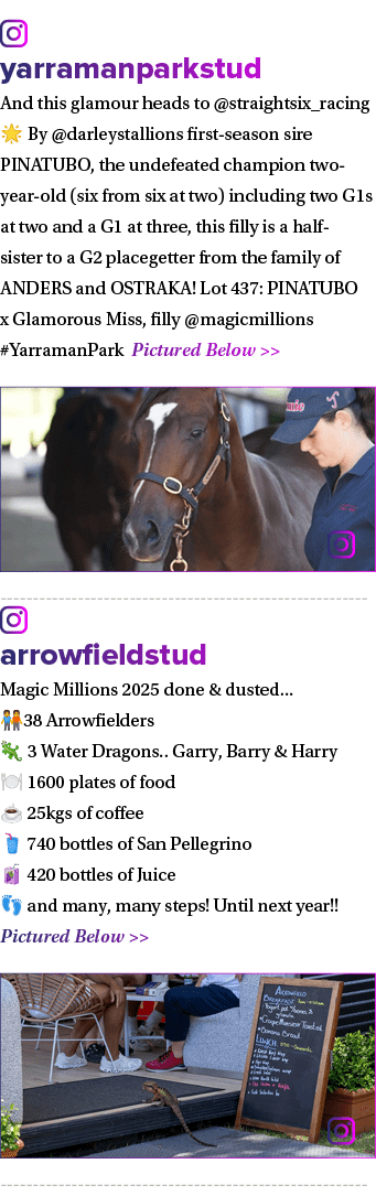 ￼ yarramanparkstud And this glamour heads to @straightsix_racing 🌟 By @darleystallions first season sire PINATUBO, t...