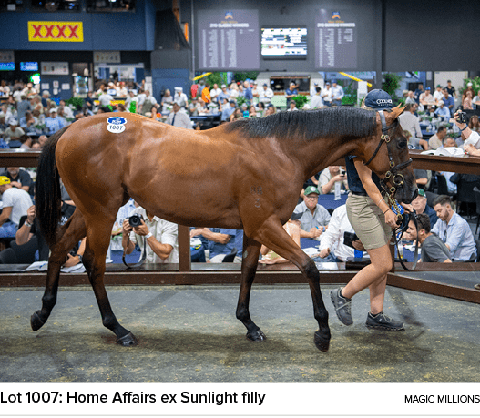 Lot 1007: Home Affairs ex Sunlight filly magic million