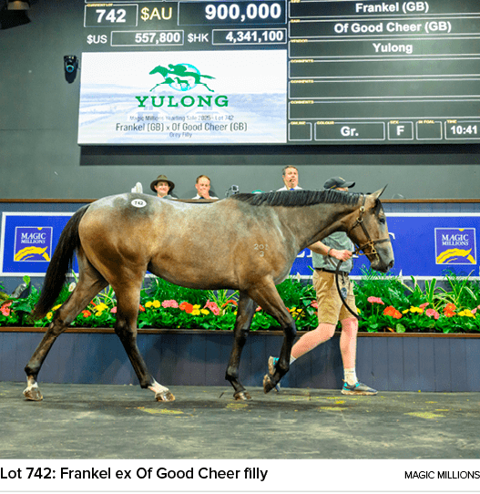 Lot 742: Frankel ex Of Good Cheer filly magic million