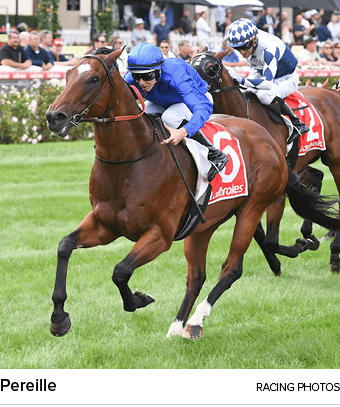 Pereille racing photo