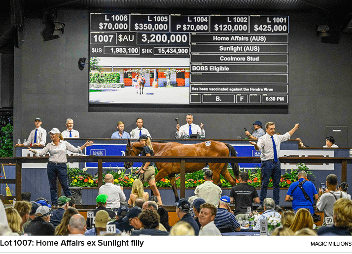 Lot 1007: Home Affairs ex Sunlight filly magic million