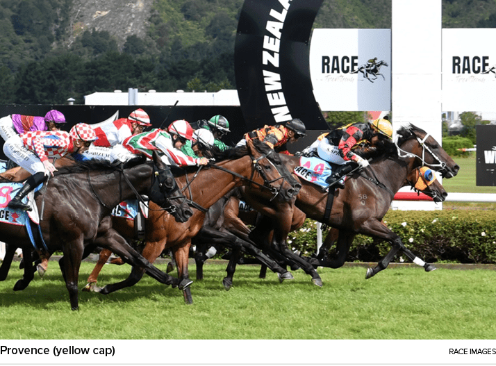 Provence (yellow cap) Race Image