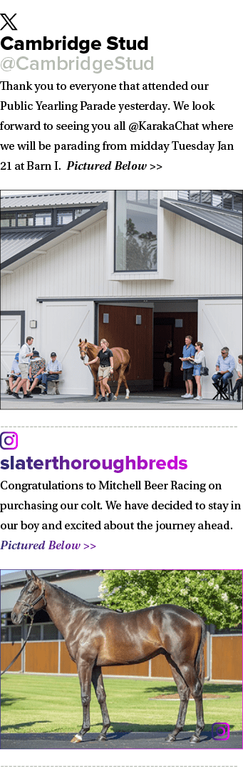 ￼ Cambridge Stud @CambridgeStud Thank you to everyone that attended our Public Yearling Parade yesterday. We look for...