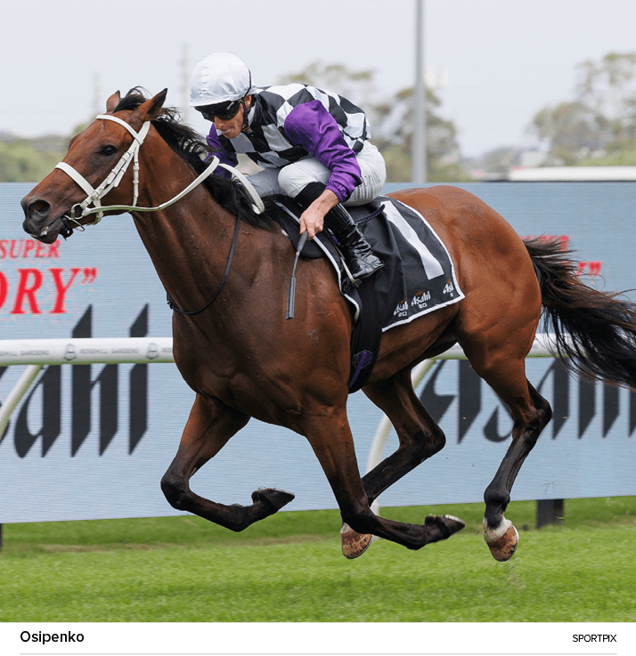 Osipenko sportpi