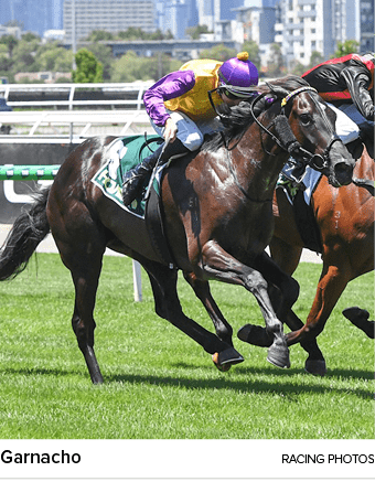 Garnacho racing photo