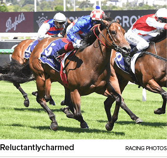 Reluctantlycharmed racing photo