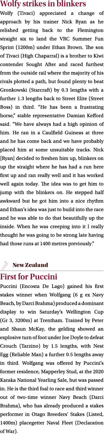 Wolfy strikes in blinkers Wolfy (Tivaci) appreciated a change of approach by his trainer Nick Ryan as he relished get...