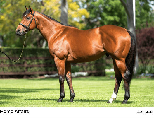 Home Affairs coolmor