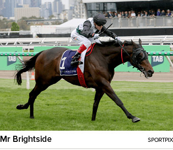 Mr Brightside sportpi