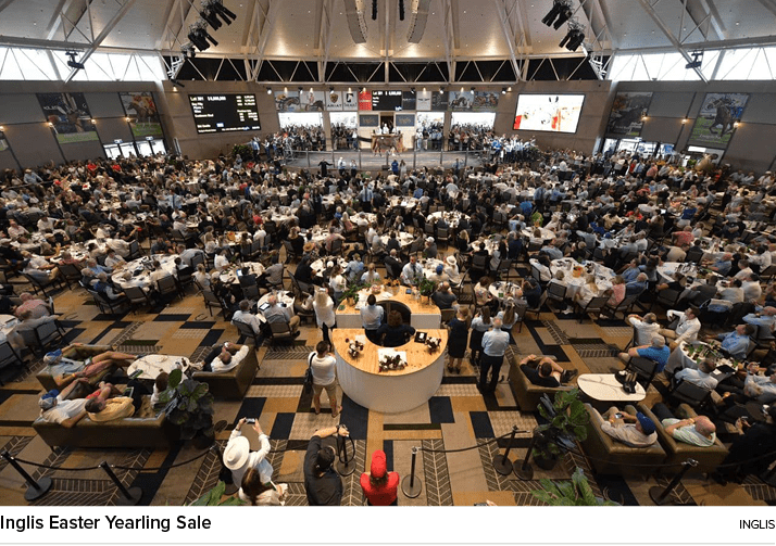 Inglis Easter Yearling Sale Ingli