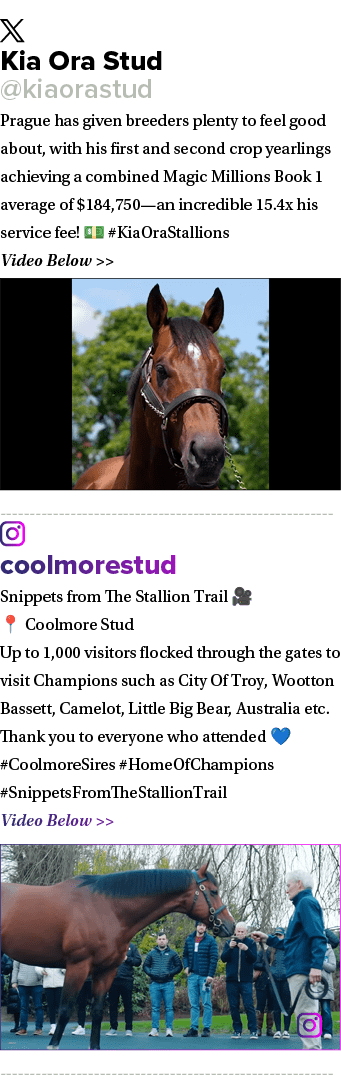 ￼ Kia Ora Stud @kiaorastud Prague has given breeders plenty to feel good about, with his first and second crop yearli...