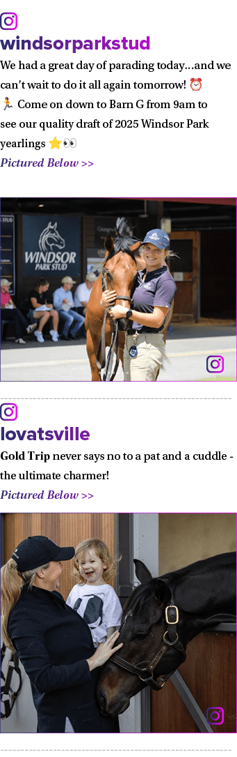 ￼ windsorparkstud We had a great day of parading today…and we can’t wait to do it all again tomorrow! ⏰ 🏃 Come on do...