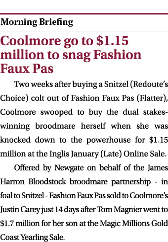  ￼ Coolmore go to $1.15 million to snag Fashion Faux Pas Two weeks after buying a Snitzel (Redoute’s Choice) colt out...