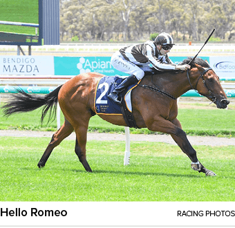 Hello Romeo RACING PHOTO