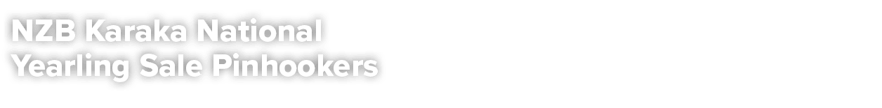 NZB Karaka National Yearling Sale Pinhookers