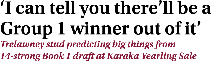 ‘I can tell you there’ll be a Group 1 winner out of it’ Trelawney stud predicting big things from 14 strong Book 1 dr...