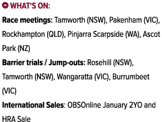 ￼ What's on: Race meetings: Tamworth (NSW), Pakenham (VIC), Rockhampton (QLD), Pinjarra Scarpside (WA), Ascot Park (N...
