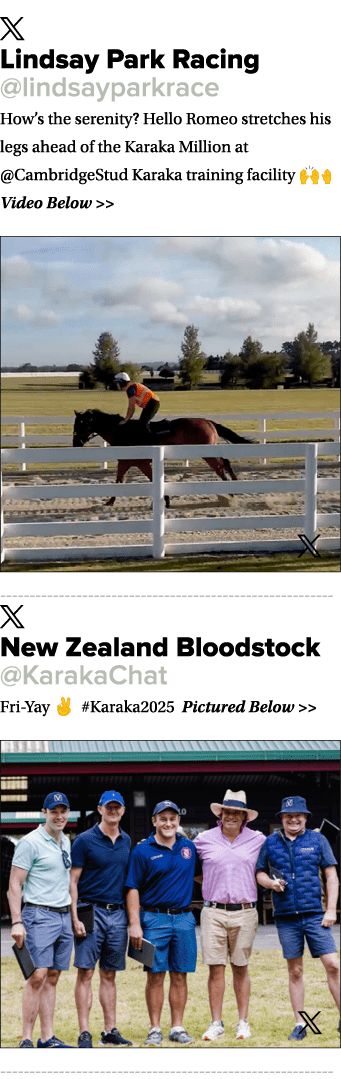 ￼ Lindsay Park Racing @lindsayparkrace How’s the serenity? Hello Romeo stretches his legs ahead of the Karaka Million...