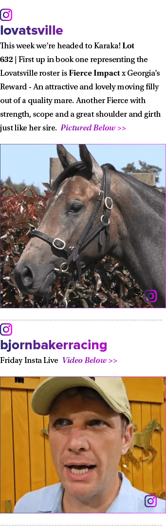 ￼ lovatsville This week we’re headed to Karaka! Lot 632 | First up in book one representing the Lovatsville roster is...